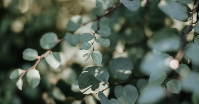 Early Intervention & Pediatric PT